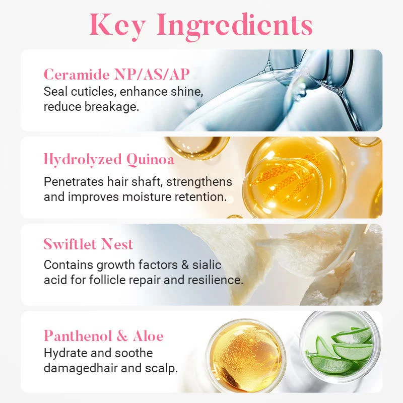 Ceramide barrier conditioner